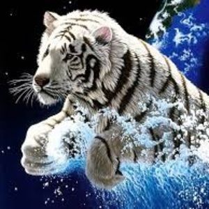 Meet your Posher, Brook